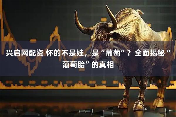 兴启网配资 怀的不是娃，是“葡萄”？全面揭秘“葡萄胎”的真相
