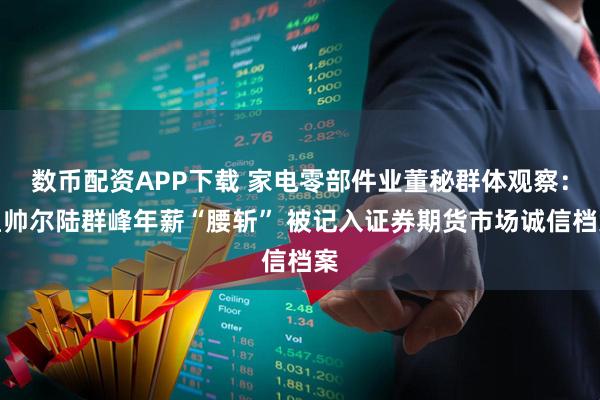 数币配资APP下载 家电零部件业董秘群体观察：星帅尔陆群峰年薪“腰斩” 被记入证券期货市场诚信档案